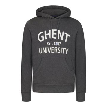 Hooded sweater Vintage - unisex - grey - SALE